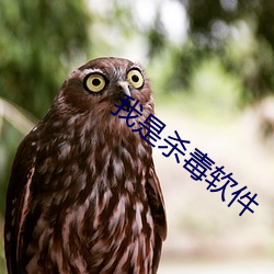 我是杀毒软(ruǎn)件