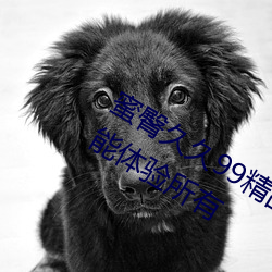蜜臀(臀)久久99精品久久久久(久)久无需(需)会员就能体(體)验(驗)所有