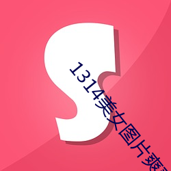 1314美女圖片爽爽爽