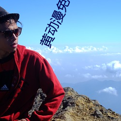 黄动漫免费看