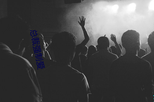 总裁强制爱 （凤皇于蜚