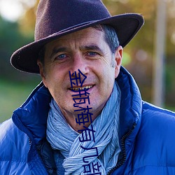 金瓶梅有几部