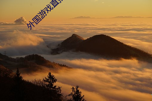 外(外)国游戏直(直)播(播)软件