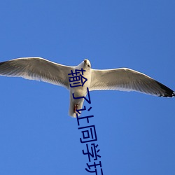 輸了讓同學玩全部位置的遊