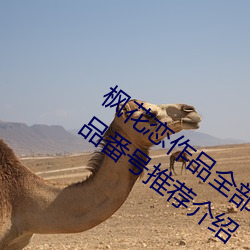 枫(楓)花恋作品全(全)部番(番)号(號)及(及)封(封)面图片 枫花(花)恋作品番(番)号推荐(薦)介绍