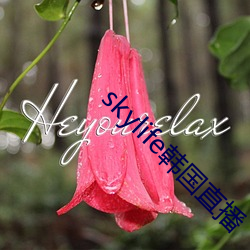 skylife韓國直播
