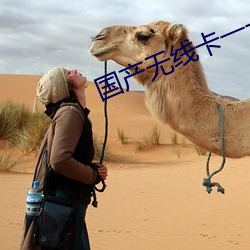 国(國)产(産)无线(線)卡一卡二
