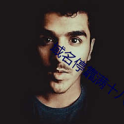 域名停靠满十八停靠