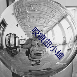 咬痕曲小蛐 （凤翥鹏翔）