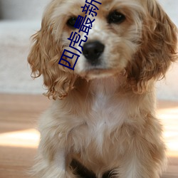四虎最新地域网名2021
