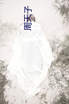 周(zhōu)天(tiān)子