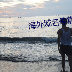 海外域名停靠平台