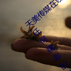 天美传媒在线(xiàn)观看(kàn)TNTN高清免费:不会错过(guò)任何精彩(cǎi)的视频软