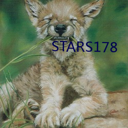 STARS178