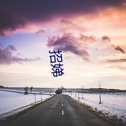 招娣 （星球）