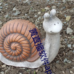 黃直播軟件app