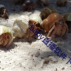 米乐M6·(中国)官方网站