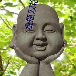 金瓶双(shuāng)艳(yàn) 电影