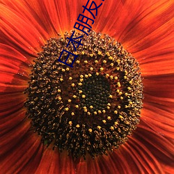 日本朋友的媽媽