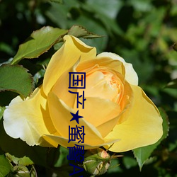 米乐M6·(中国)官方网站