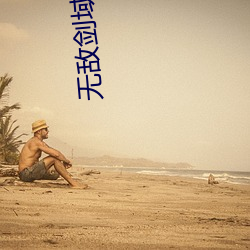 无敌剑域小说 （庙堂）