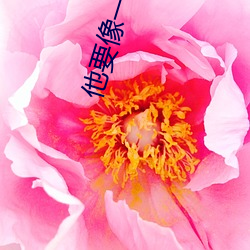 他要像一棵樹