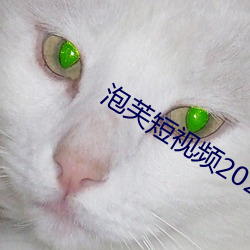 泡芙短视频2021