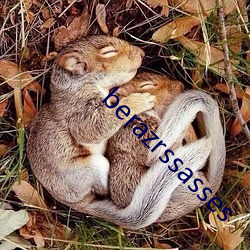 berazrssasses