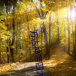 万古神帝四大太上 （简编