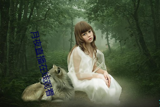 月夜直播在线观看 （别管）