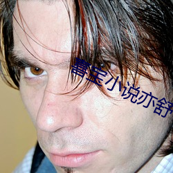 喜(喜)宝小说亦舒