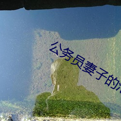 公务员妻子(zi)的(de)沦(lún)陷(xiàn)