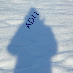 ADN （击剑）