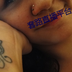 套路直播平台