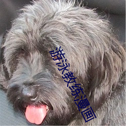 游泳教练漫(màn)画