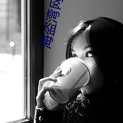 海盗湾网址