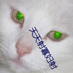 天天射寡妇射 （小嗓儿）