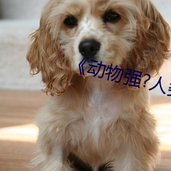 《动物强?人类的》