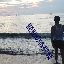 爱爱动(dòng)态视频