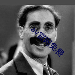 av官(官)网免费(費)