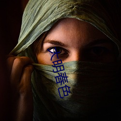 大明春色 （绷瓷）