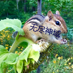 无尽神域