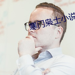 寒门枭士小说