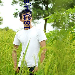 918博天堂·(中国)手机版客户端