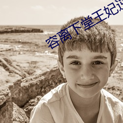 容离下堂王妃逆袭记全文免费阅读