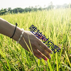 九游会登录j9入口 - 中国官方网站 | 真人游戏第一品牌