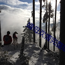 婿母欢情完整版雪碧