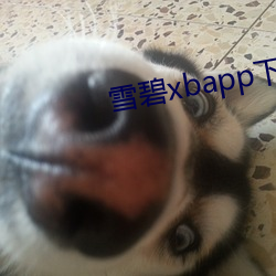 雪碧xbapp下载 （积穀防饥）