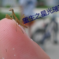 鸿运国际·(中国)会员登录入口