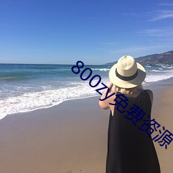 800zy免费(費)资源